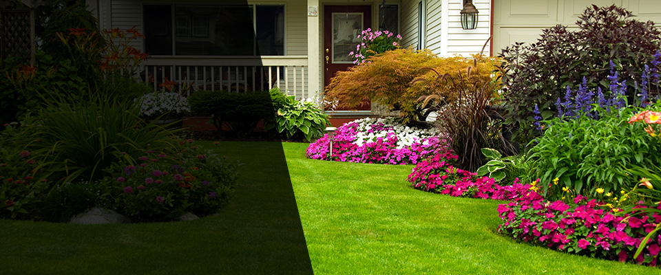 Harbor City Landscapers