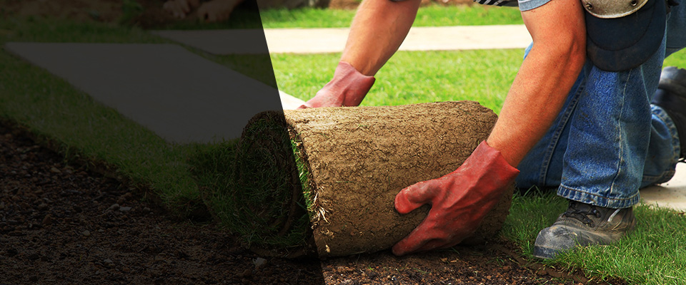 Harbor City Landscapers